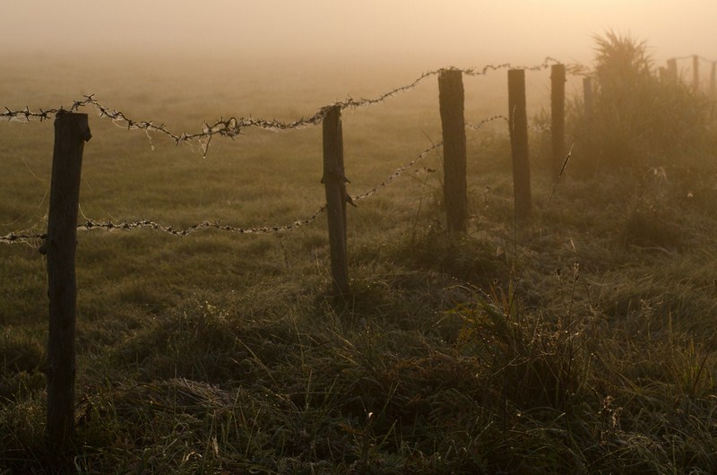 dsc_1167-kopiowanie-kopiowanie