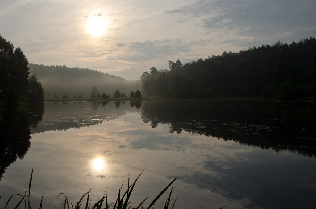 dsc_6956-kopiowanie-kopia