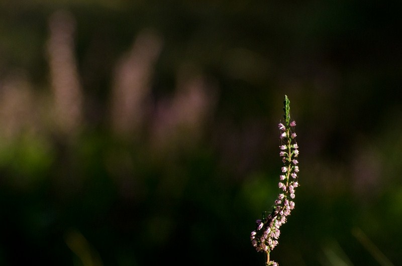 1-9723-kopiowanie-kopiowanie