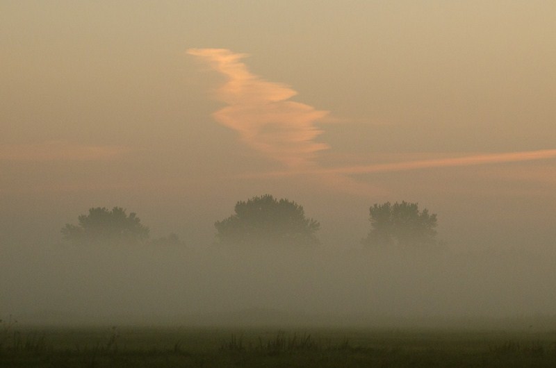 9-8362-kopiowanie-kopiowanie