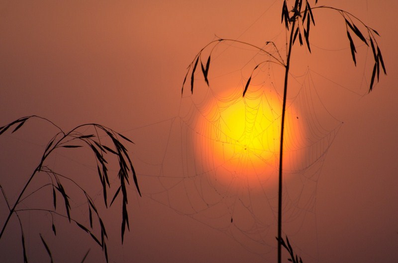 9-8387-kopiowanie-kopiowanie