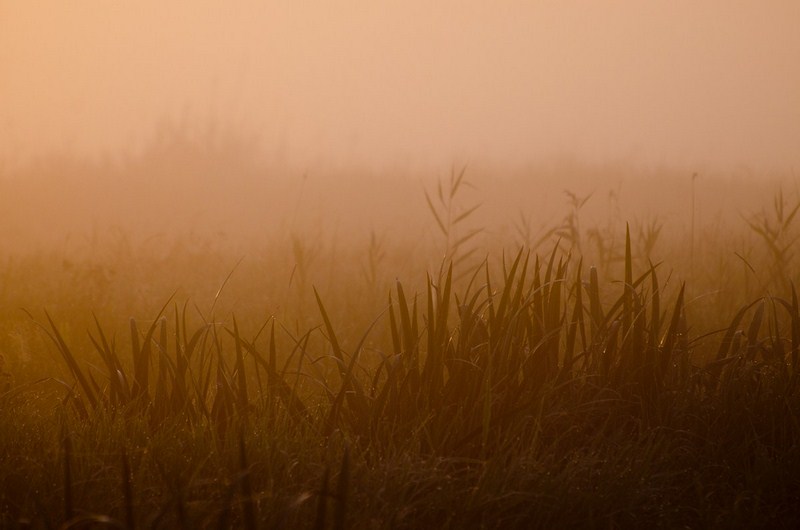 9-8423-kopiowanie-kopiowanie