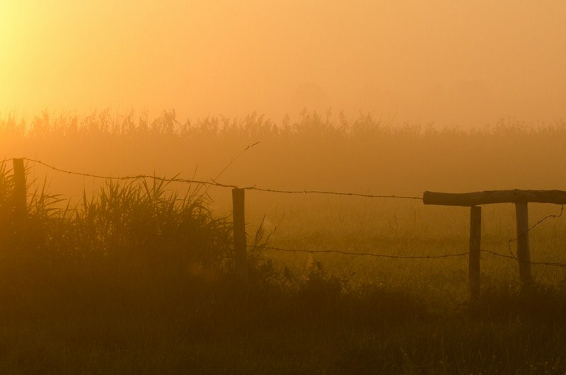 9-8430-kopiowanie-kopiowanie