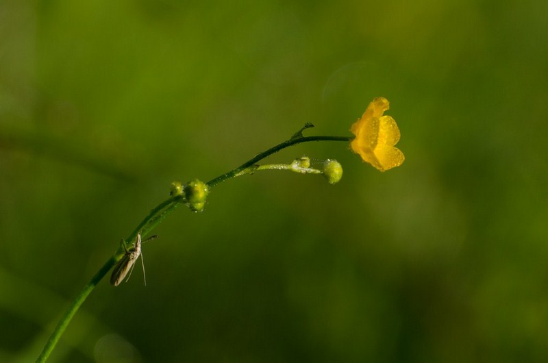 dsc_7824-kopiowanie-kopiowanie