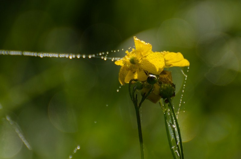 dsc_7832-kopiowanie-kopiowanie