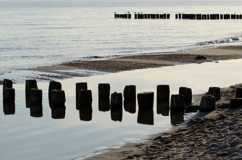 dsc_5122-kopiowanie-kopiowanie