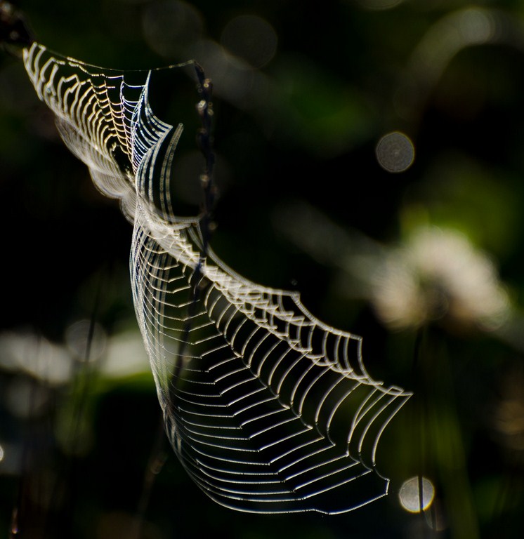 1-9488-kopiowanie-kopiowanie