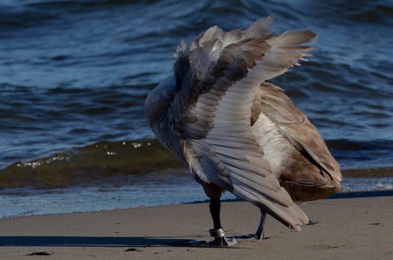 dsc_5996-kopiowanie-kopiowanie