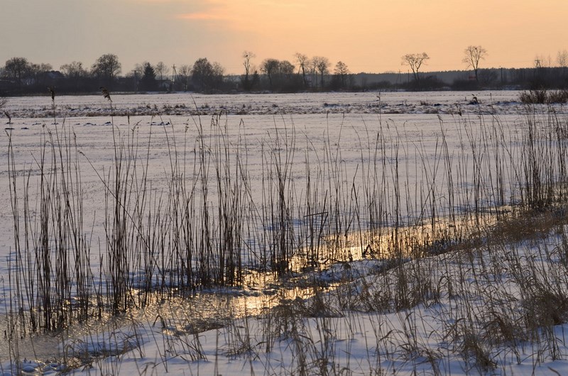 dsc_6279-kopiowanie-kopiowanie