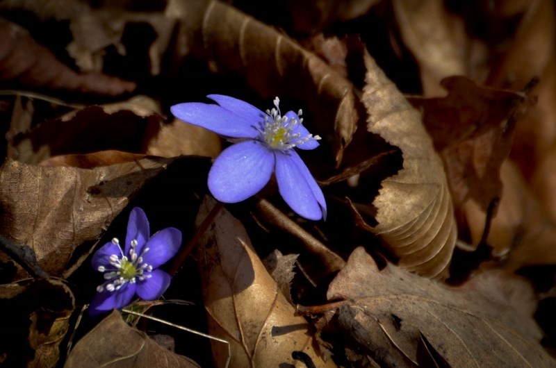 dsc_7664-kopiowanie-kopiowanie